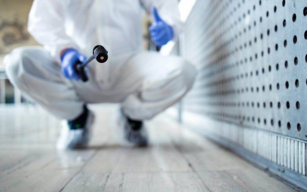 Welcome to the Pest2Guard Blog: Your Shield Against Pests
